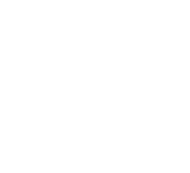 QUESO DE LA LITERA